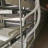 Cage à poulets automatique en acier de type H, nouvelle, galvanisée à chaud, contrôle précis de la température, longue durée de vie, élevage de poulets