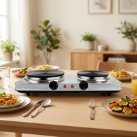 Plaque chauffante portable en acier inoxydable à 2 brûleurs 2500W 220V avec contrôle de la température pour la cuisine et l'utilisation en camping-car