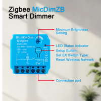 Module intelligent passerelle Zigbee Bilihondim, boîtier numérique variateur de lumière, haute qualité, 1 canal, 200W, sans fil, portée 30m, compatible Google Assistant