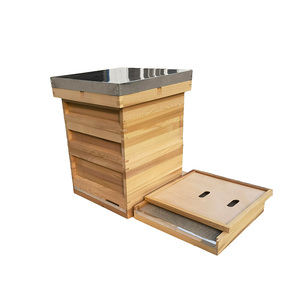 Colmena Nacional Británica de Madera para 8/10 Cuadros, Venta Directa de Fábrica - Product Image 3