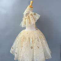 Robe de ballet pour enfants, costume de spectacle long, robe en tulle à manches courtes, modèle de danse du Petit Cygne pour filles
