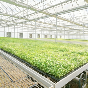 Large Movable Wire Mesh Seedbed Greenhouse <strong>Plant</strong> Nursery Equipment Grow <strong>Table</strong> Rolling Mesh Benches Hot Galvanized Steel - Product Image 2