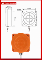 Interruptor de Detección de Metal de Alta Temperatura Domenzi 0-250C NPN NO NC 25mm IP65 Montaje Empotrado Cable de 10m para Cabina de Pintura Horno de Secado