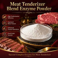 Solution d'approvisionnement unique pour les solutions de transformation des entrailles de viande, Enzyme composée pour attendrir la viande, Faible MOQ, Fournisseur d'enzymes en gros