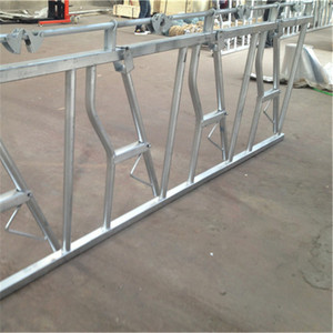 Équipement d'élevage galvanisé économique : Cadenas de tête pour bovins, épaisseur 3 mm - Product Image 5