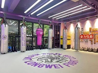Système de support de sac de boxe à rail coulissant et poulie en acier de haute qualité, sur mesure, pour salle de sport