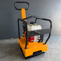Compacteur à plaque vibrante de type 250 à moteur essence pour la compactation des sols et des sous-sols routiers