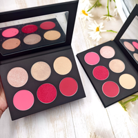 Palette de fard à joues et d'enlumineur DIY à 6 couleurs, étiquette privée, logo personnalisé, haute pigmentation, vegan, poudre waterproof