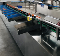 Sorteermachines En Sorteermachines Voor Groenten En Fruit, Producten Voor De Grootte, Sorteermachine Voor Fruit En Sortering