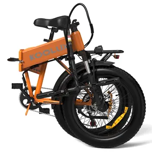 KL-BK10S lungo raggio 36v 48v 250 500 watt cargo ebike 2 ruote fat elettrico bici famiglia e-cargo per la consegna