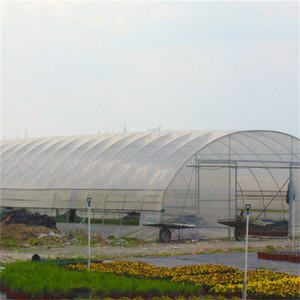 Serre <span class=keywords><strong>agricole</strong></span> commerciale isolée, serre-cercle, à vendre, <span class=keywords><strong>2021</strong></span>, Offre Spéciale - Product Image 5