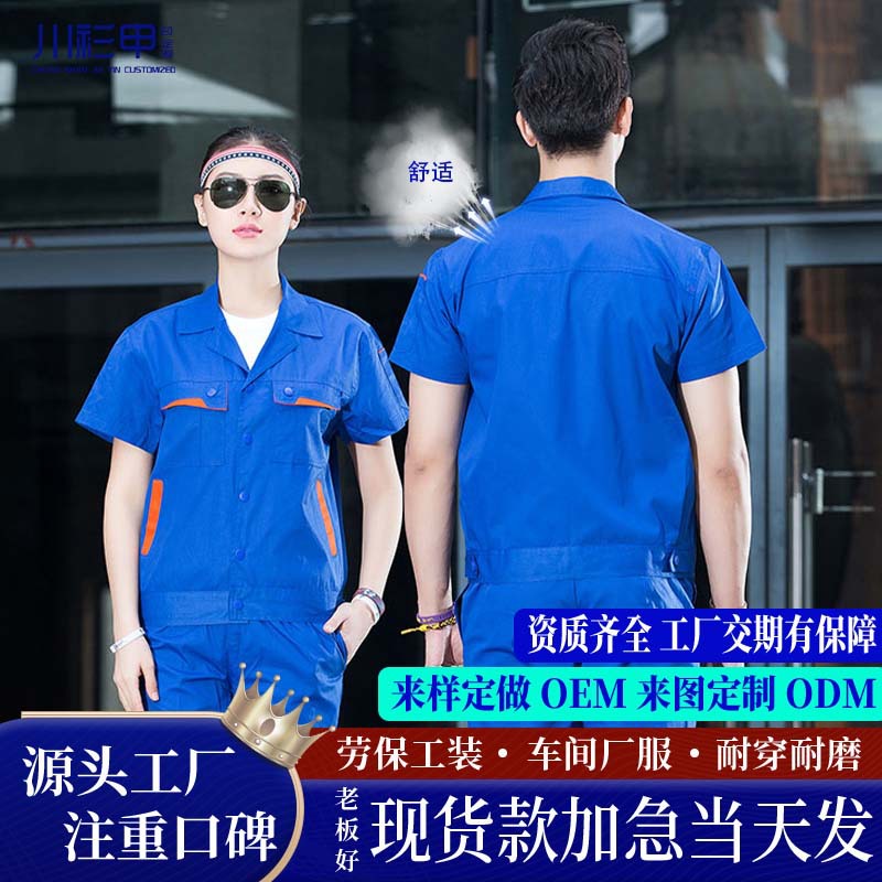 Conjunto de 160 orquídeas