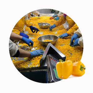 Xmsd dải tiêu Vàng đông lạnh cao cấp | Ớt chuông <span class=keywords><strong>iqf</strong></span> bán chạy cho các nhà sản xuất thực phẩm trên toàn thế giới - Product Image 2