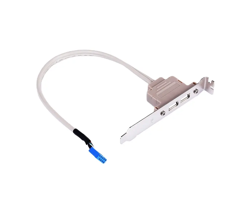 Custodia per computer Desktop con deflettore posteriore USB a due porte cavo di espansione per scheda madre PCI a doppia porta 2.0