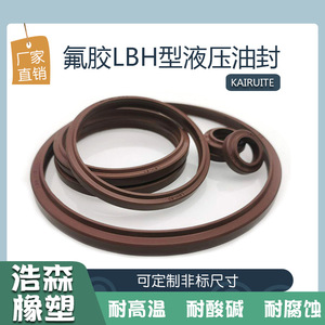 Joint hydraulique en fluororubber LBH, bague anti-poussière, 11,2-230 mm, résistant aux hautes températures, joint de cylindre - Product Image 2