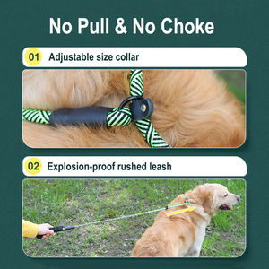 Hoopet-Conjunto de Collar y correa elástica para perros de gran tamaño, correa elástica sin tirones, con mango acolchado suave, suministro de fábrica - Product Image 5