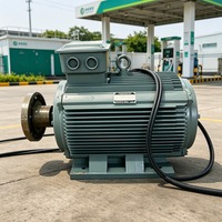 Alternateur d'éolienne triphasé haute puissance, protection IP68, générateur de puissance à moteur à aimant permanent 100 % cuivre