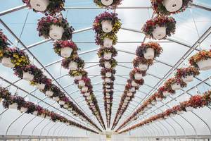 <span class=keywords><strong>Macetas</strong></span> Grandes <span class=keywords><strong>de</strong></span> <span class=keywords><strong>Plástico</strong></span> para Exteriores, <span class=keywords><strong>Macetas</strong></span> Colgantes para Plantas, <span class=keywords><strong>Macetas</strong></span> con Autorriego - Product Image 6