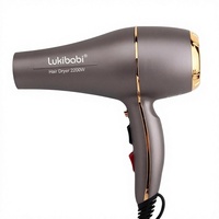 Sèche-cheveux ionique professionnel Lukibabi 2200W à haute vitesse avec diffuseur gratuit pour usage domestique et en salon