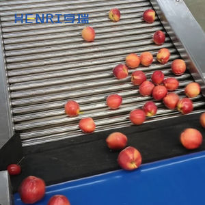 Máquina Clasificadora de Frutas: Kumquat, Naranja Azucarada, Naranja Navel, Pomelo Huyou, Limón, Tomate - Product Image 4