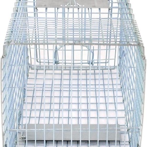 Piège à animaux vivants de taille moyenne pour attraper et libérer les rongeurs, les écureuils et les chats errants - Product Image 3