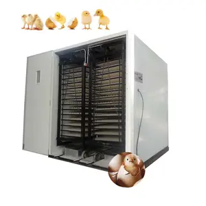 commercial setting 9856 chicken eggs setter incubator HJ-I20