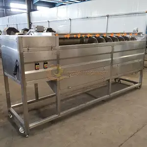 Machine à laver les pommes de terre et les carottes en acier inoxydable/machine à pommes de terre trancheuse et laveuse/brosse machine à laver les fruits et légumes