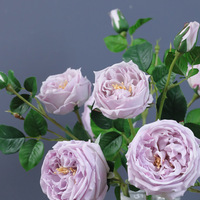 Buket bunga austin rose Artificial, buket bunga mawar sentuhan asli 3 kepala melembabkan untuk dekorasi rumah dan pernikahan