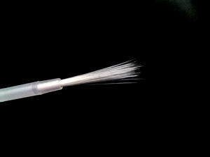 20ML per auto per animali domestici, - Product Image 4