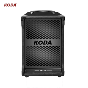 Koda OEM DJ Loud Đảng Loa sự nắm điện lớn DJ Bass Loud SoundBox Loa - Product Image 3