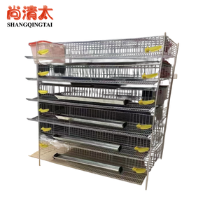 Commercio all'ingrosso nuovo stato H-tipo gabbie di quaglia uso domestico uccello di produzione di uova di materiale plastico <span class=keywords><strong>per</strong></span> gabbie <span class=keywords><strong>per</strong></span> animali da allevamento di polli - Product Image 2