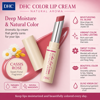 Baume à lèvres coloré DHC saveur Cassis Rose Fruit 3G, stick hydratant à l'arôme naturel, taille standard pour femmes, Japon