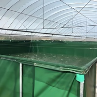 Grande serre agricole monopente mobile pour poulets de chair avec couverture en polycarbonate pour l'élevage avicole