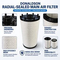   Filtre à air principal à joint radial P777868 P777869 pour excavatrice Zoomlion ZE370, pièces de rechange pour engins de construction SANY