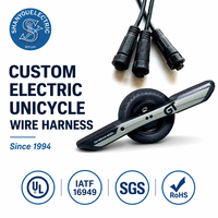 Rangkaian Kabel Elektronik Tyco Kustom, Perakitan Kabel OEM, Rangkaian Kabel Peralatan