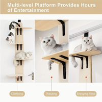 Arbre à chat suspendu à la porte à 4 niveaux, arbre à chat sur porte avec marches entièrement recouvertes de tapis, mobilier de repos et de grattage pour chats d'intérieur