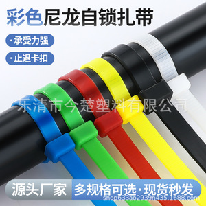 สายรัดเคเบิลไนลอนสี Jin Chu ขนาด 3x100 4x200 5x300 มม. สายรัดแบบล็อคตัวเองสำหรับการยึดสายไฟ - Product Image 3