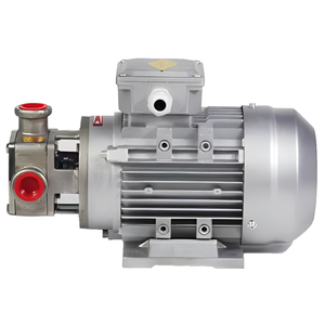 Pompe électronique en aluminium 12V basse pression pour carburant diesel/bioéthanol et essence, pompes de relevage pour voitures, personnalisable OEM - Product Image 3