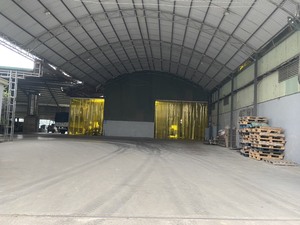 Amidon de marante de qualité supérieure, naturel et biologique, à prix avantageux - Product Image 3