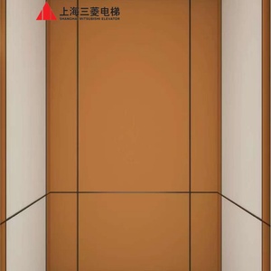 Ascensor Pequeño para Pasajeros, de Acero Inoxidable, con Sistema de Tracción, para Apartamentos y Oficinas, Diseño Moderno, 1 Año de Garantía - Product Image 1
