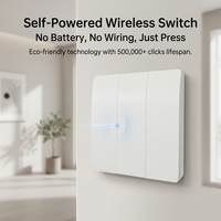 Interruptor de Pared Inalámbrico Autoalimentado RF 433Mhz, Interruptor de Luz de Energía Cinética, Sin Batería, Sin Cableado, Kit para Hogar Inteligente