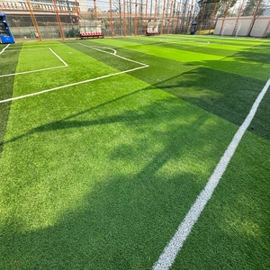 Césped <span class=keywords><strong>Artificial</strong></span> para Pádel Personalizado Compatible con APEX OEM, 250-400 Puntadas por <span class=keywords><strong>Metro</strong></span> <span class=keywords><strong>Cuadrado</strong></span> - Product Image 1