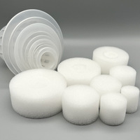 Structure de croissance du système de semis hydroponique de la laitue dans une éponge en mousse à effet de serre