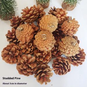 ชุดตกแต่งคริสต์มาสทรงกรวยและ<span class=keywords><strong>ดอก</strong></span>บัวบ้านย้อนยุควัสดุ DIY พืชป่า<span class=keywords><strong>แห้ง</strong></span>สำหรับสถานรับเลี้ยงเด็กทารก - Product Image 5