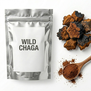 Ekstrak Jamur <span class=keywords><strong>Chaga</strong></span> Black Gold Organik Ekstrak Ganda dari China, Bubuk Ekstrak Jamur untuk Kopi, Merek Pribadi Vital Green - Product Image 1