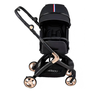 Passeggino Pieghevole Portatile <span class=keywords><strong>per</strong></span> Bambini, Carrozzina da Esterno Pratica con Colori Personalizzabili e Base Nera - Product Image 1