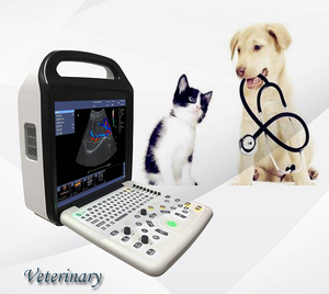 P50Vet Prix le plus compétitif Machine vétérinaire à ultrasons Doppler couleur pour animaux de compagnie <span class=keywords><strong>et</strong></span> grands animaux <span class=keywords><strong>comme</strong></span> les <span class=keywords><strong>chiens</strong></span>, les <span class=keywords><strong>chats</strong></span>, les bovins, les porcs - Product Image 1