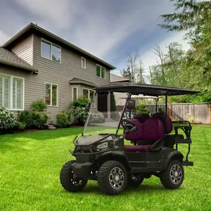 Mobil klub Mini Cepat kecepatan rendah kendaraan Golf Cart dengan atap 4 kursi roda Drive listrik klub disesuaikan Golf Cart