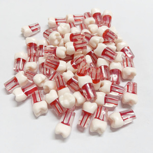 Model saluran akar gigi dengan ruang bubur kayu-Model gigi endodontik merah untuk latihan dan pelatihan - Product Image 4