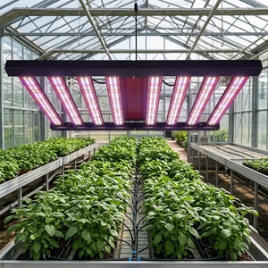 Lampe de culture LED professionnelle à spectre complet 800W pour l'agriculture intérieure, les serres et les projets <span class=keywords><strong>d</strong></span>'éclairage supplémentaire - Product Image 1